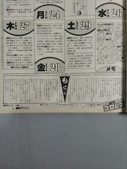 週刊プロレス481