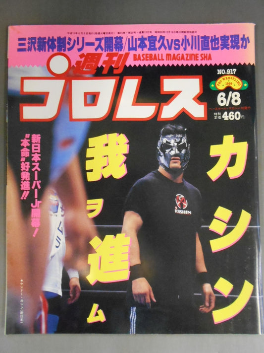 Weekly Pro Wrestling 917