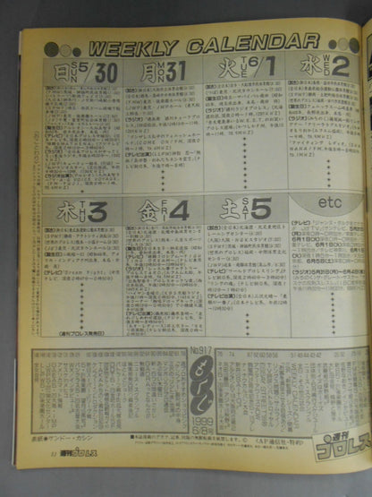 Weekly Pro Wrestling 917