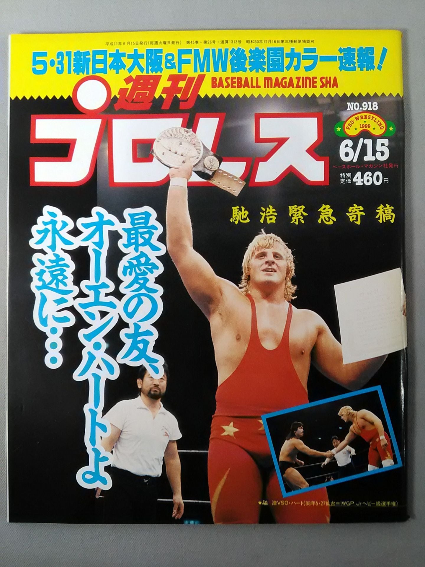 Weekly Pro Wrestling 918