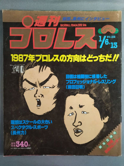 Weekly Pro Wrestling  182