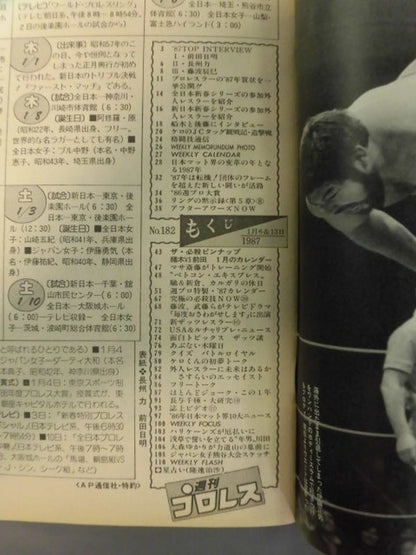 Weekly Pro Wrestling  182