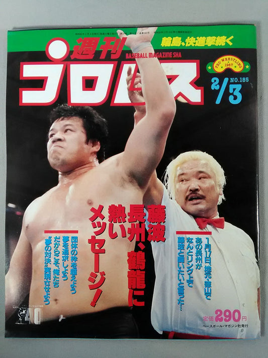 Weekly Pro Wrestling 185