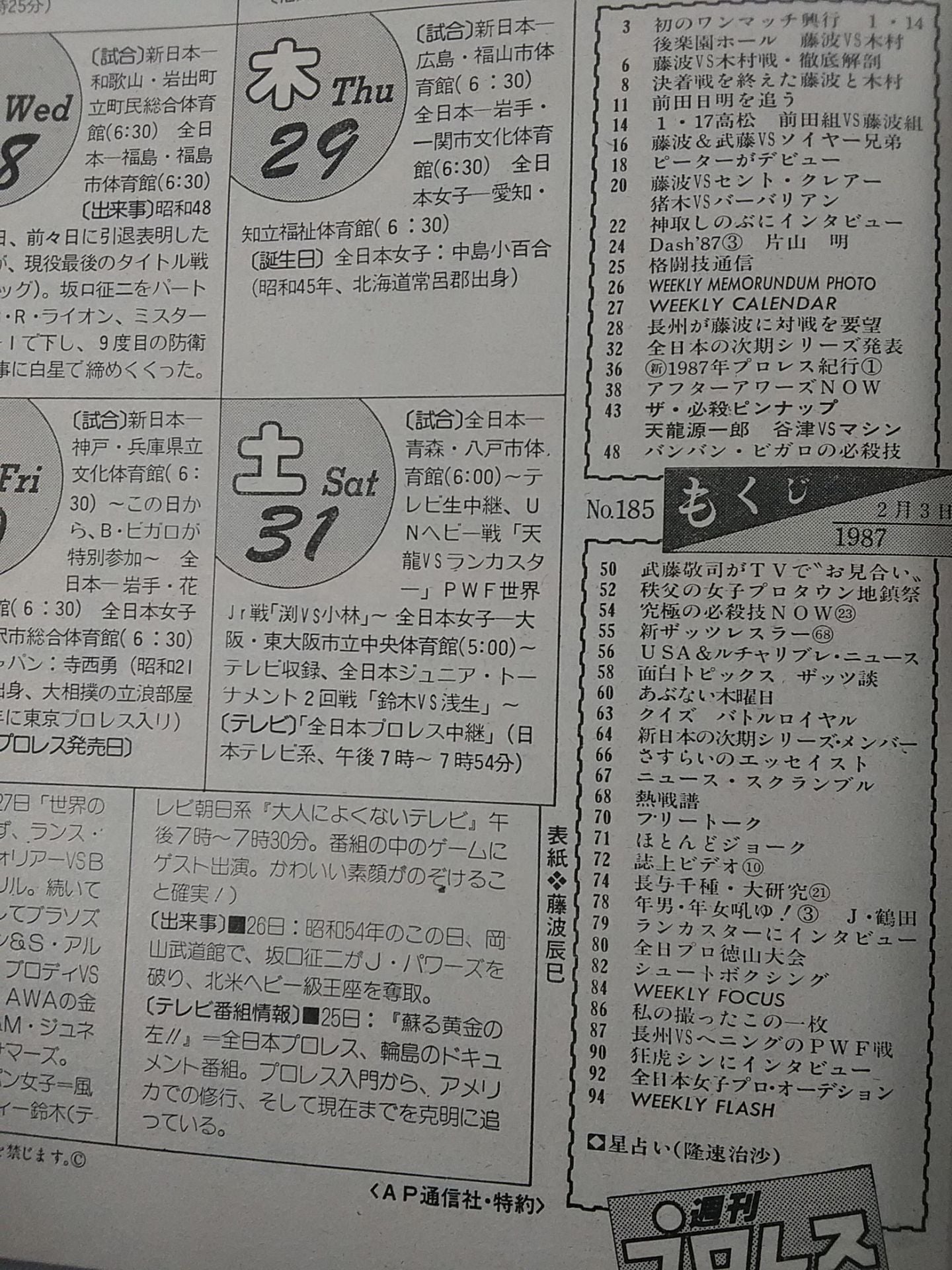 Weekly Pro Wrestling 185