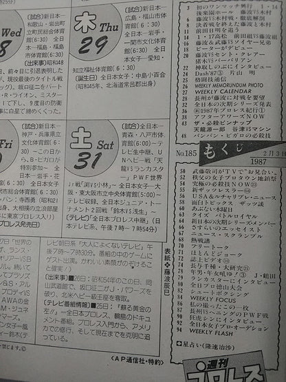 Weekly Pro Wrestling 185