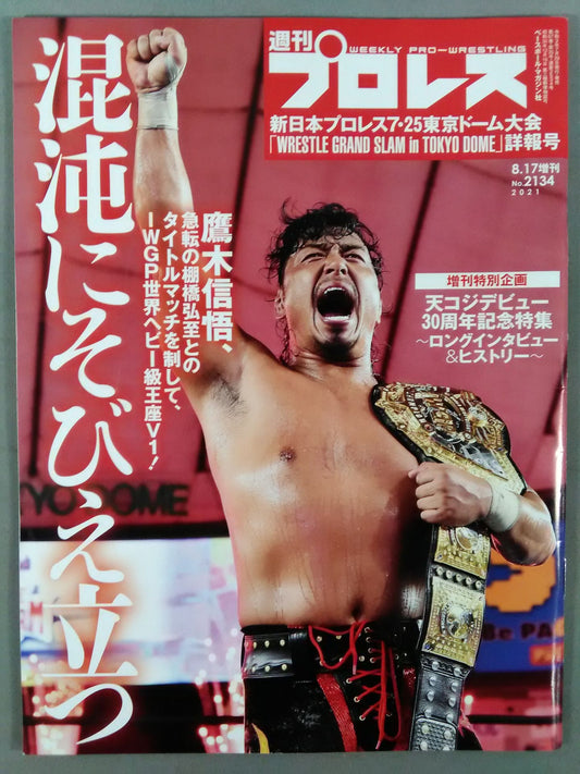 Weekly Pro Wrestling 2134
