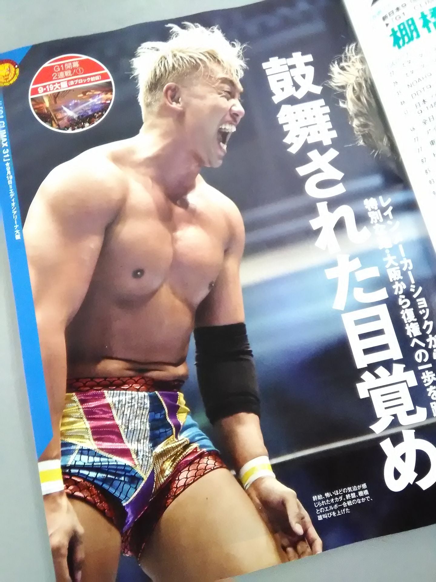 Weekly Pro Wrestling 2142
