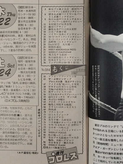 Weekly Pro Wrestling  184