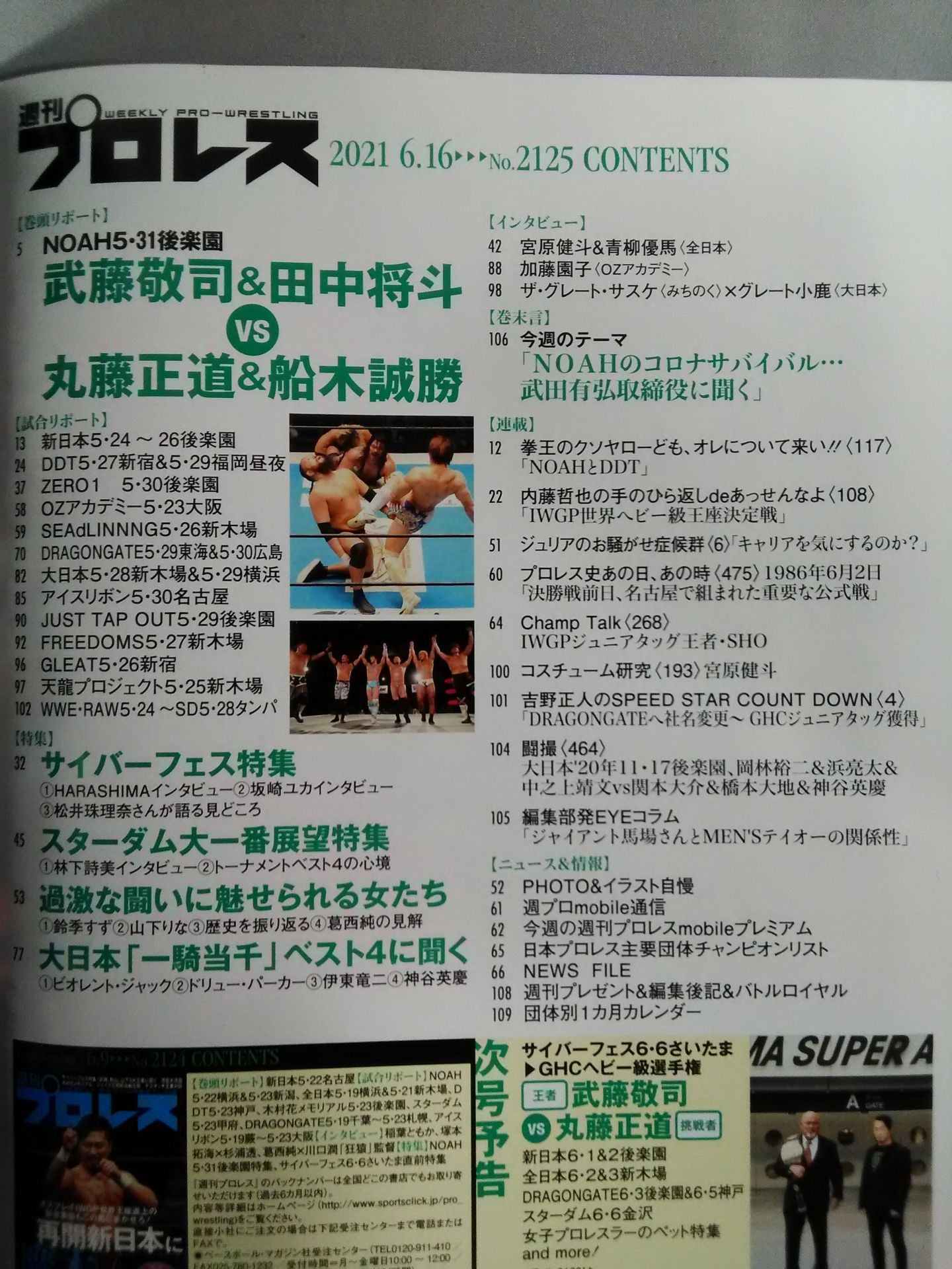Weekly Pro Wrestling 2125