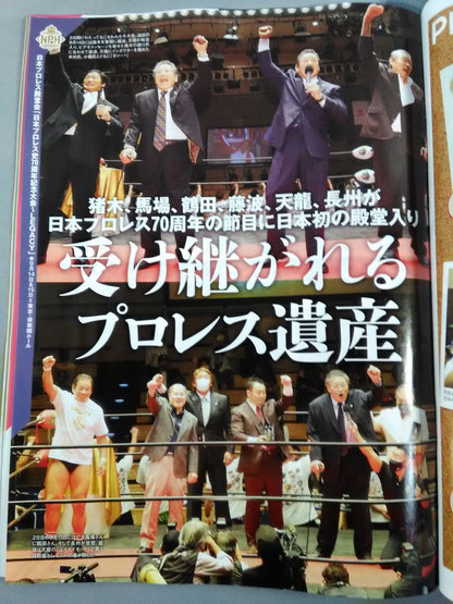 Weekly Pro Wrestling 2142