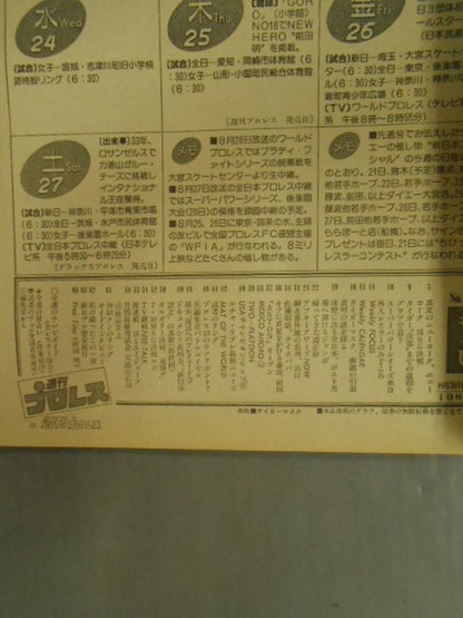 週刊プロレス4