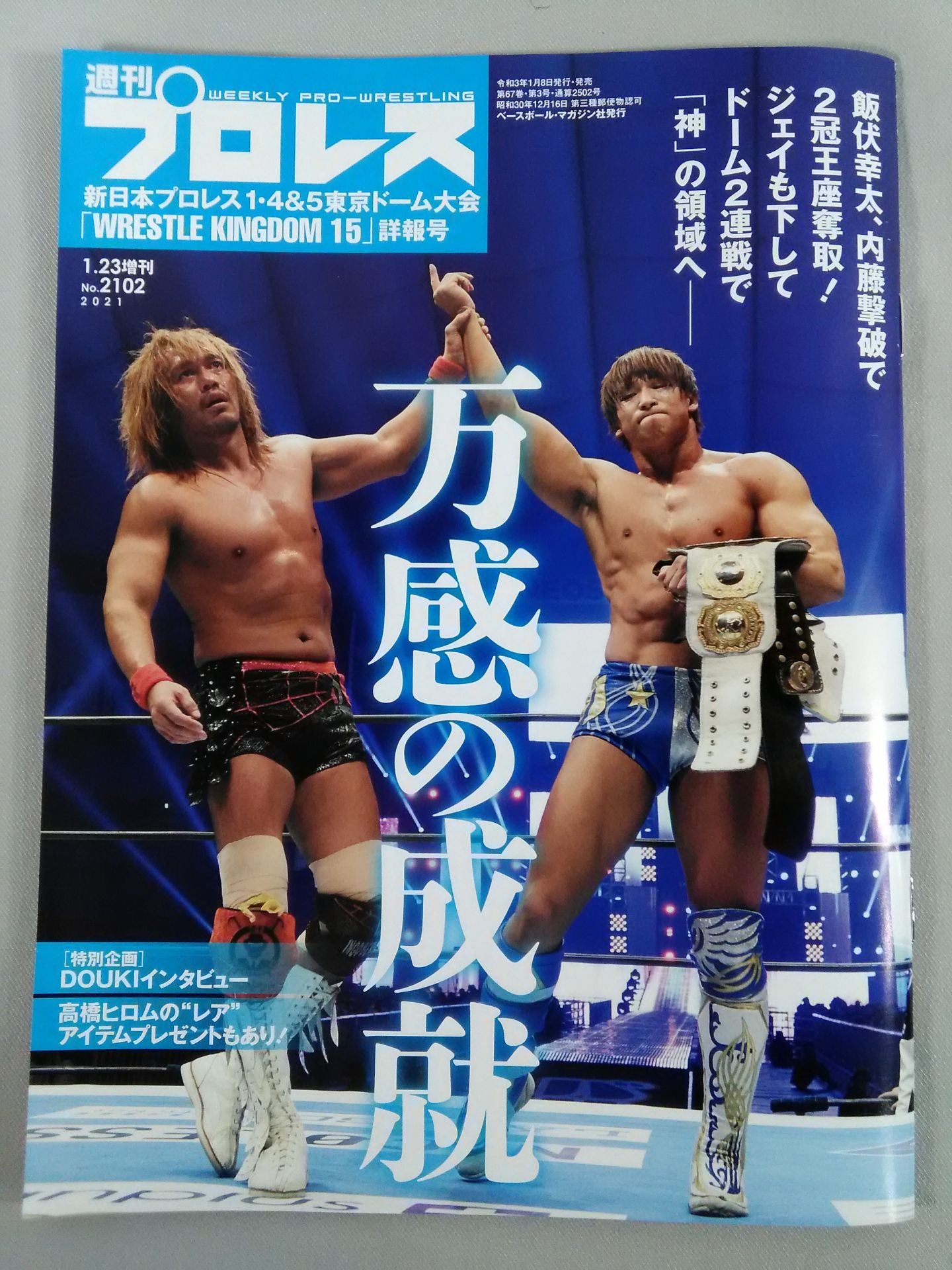 Weekly Pro Wrestling 2102
