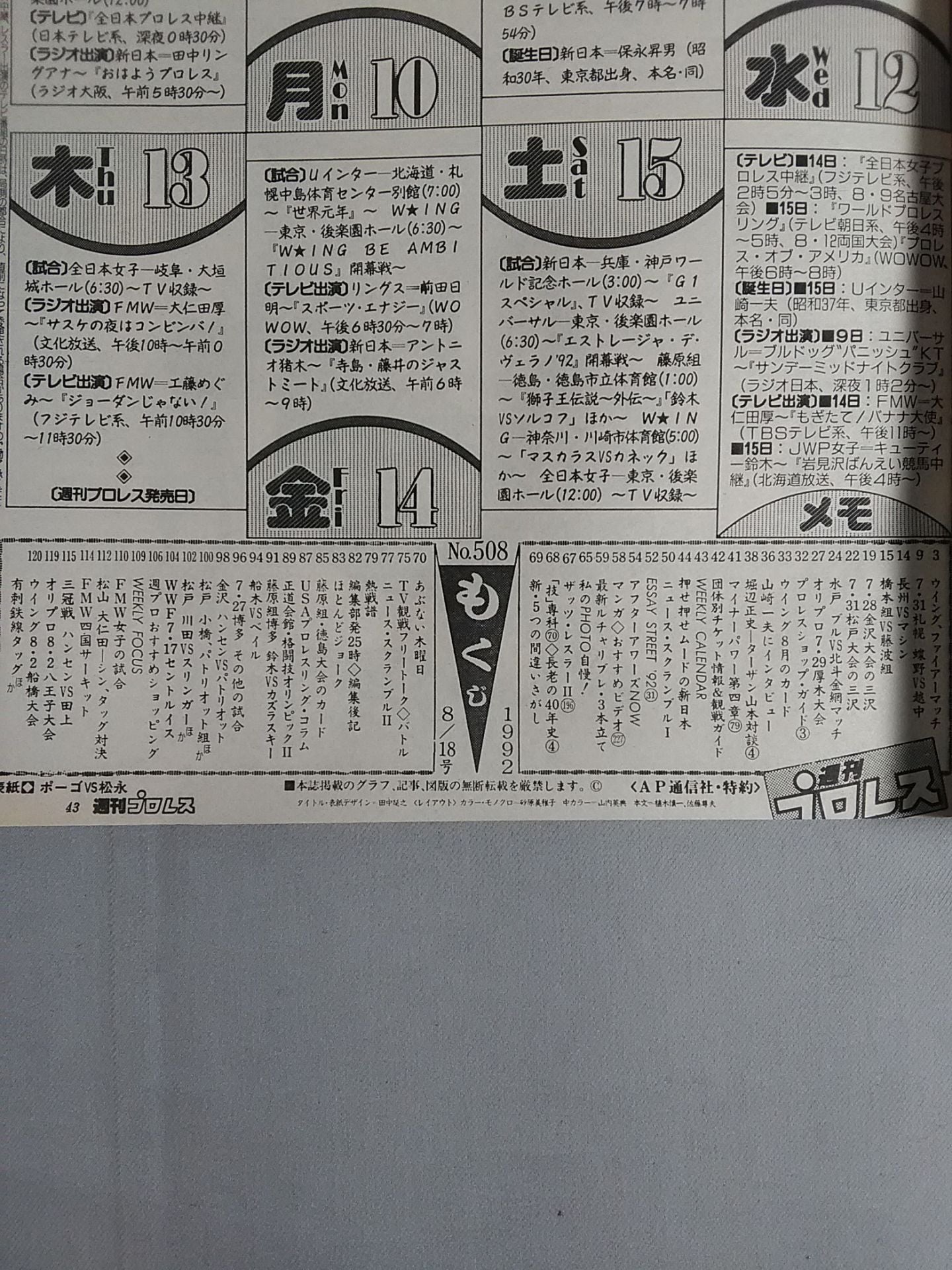 Weekly Pro Wrestling 508