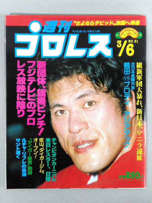 Weekly Pro Wrestling 31