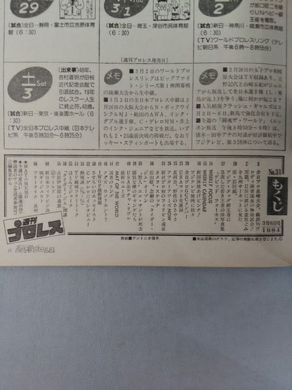 Weekly Pro Wrestling 31