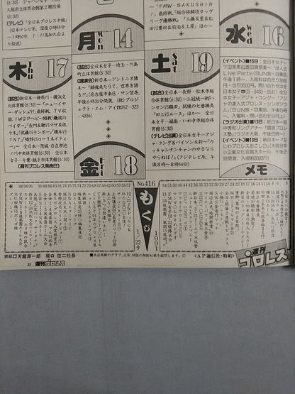 Weekly Pro Wrestling 416