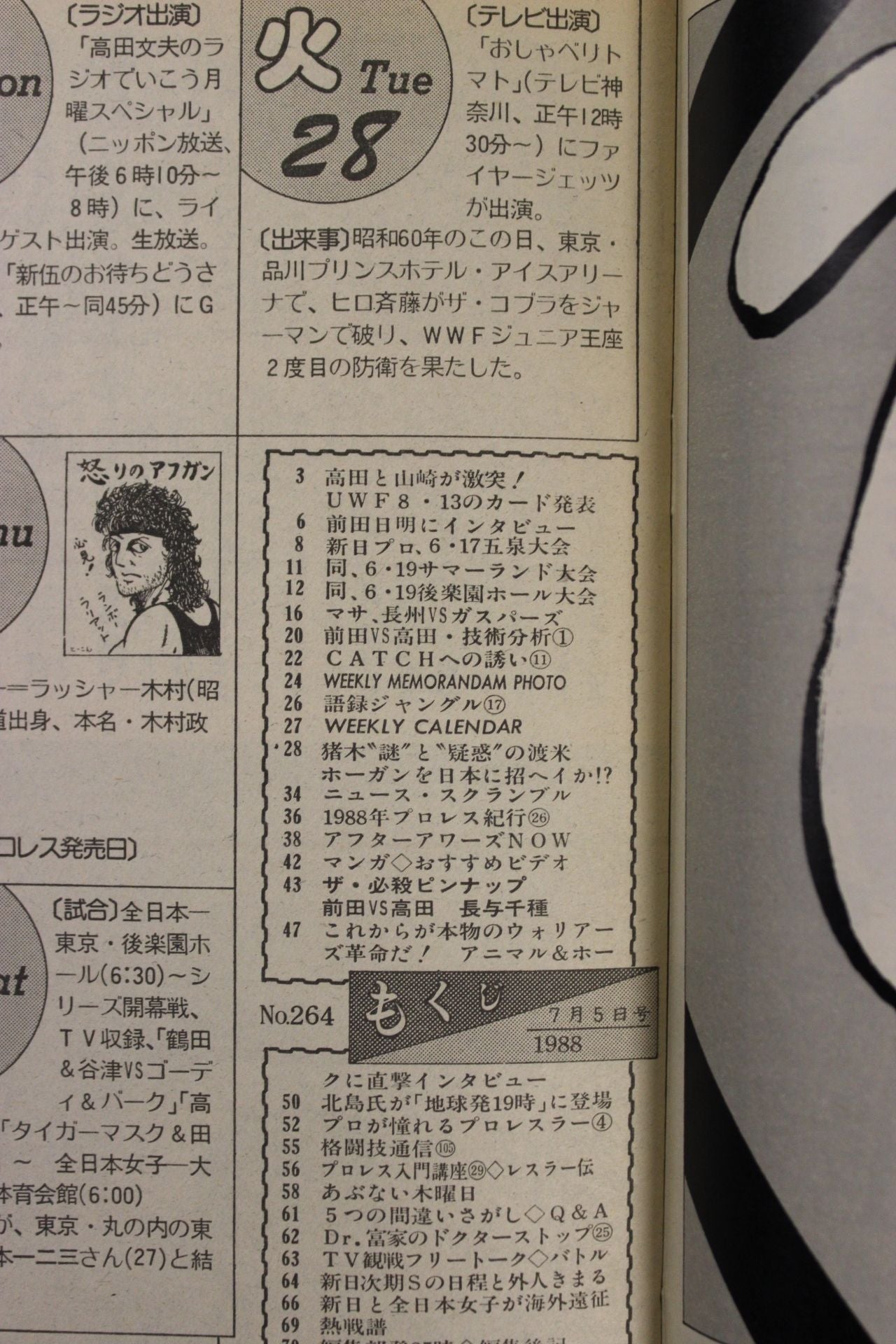 Weekly Pro Wrestling  264