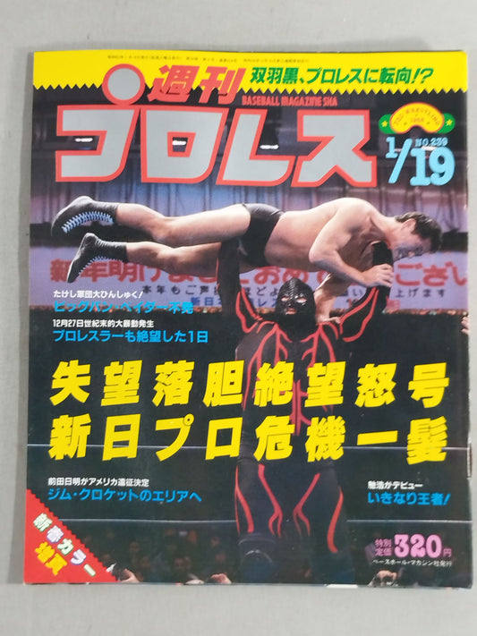 Weekly Pro Wrestling 239