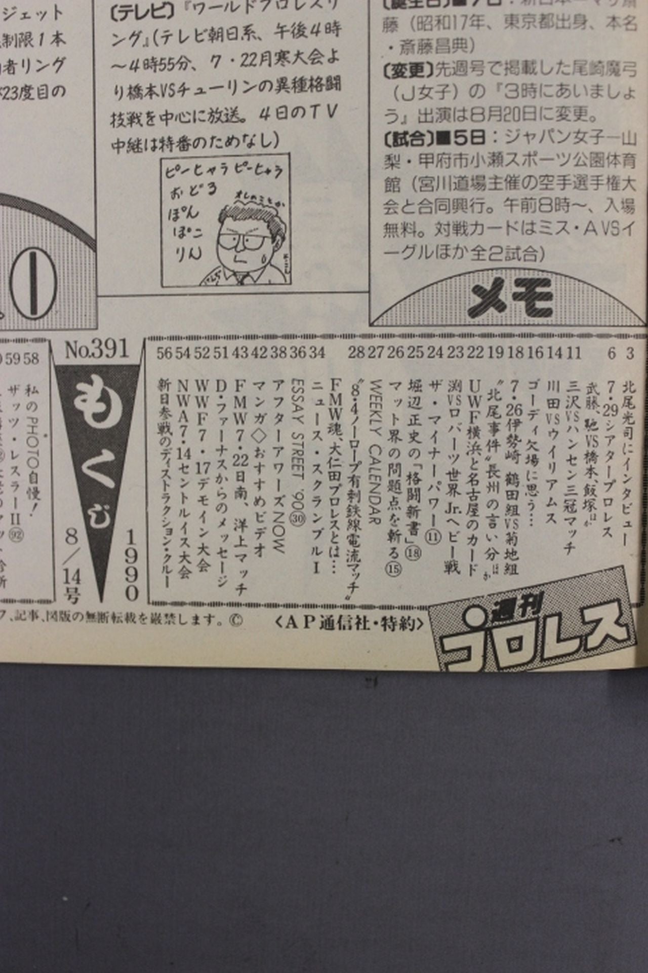 Weekly Pro Wrestling 391