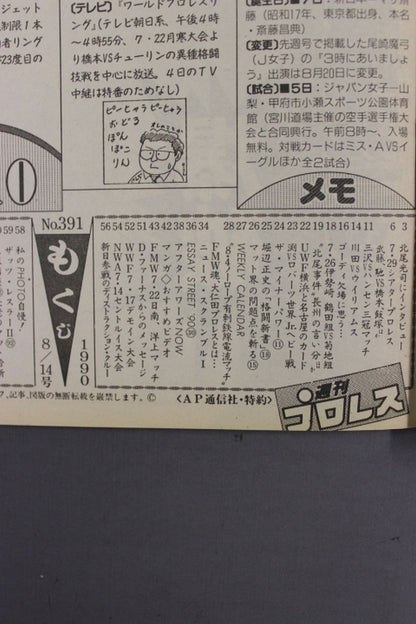 Weekly Pro Wrestling 391