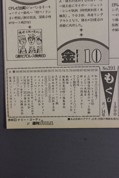 Weekly Pro Wrestling 391