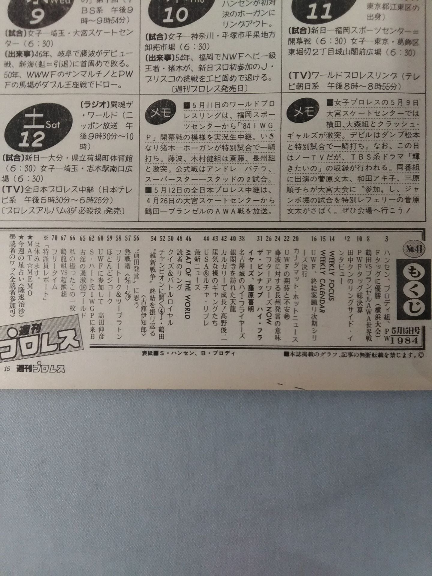 Weekly Pro Wrestling 41