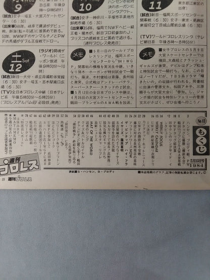 Weekly Pro Wrestling 41