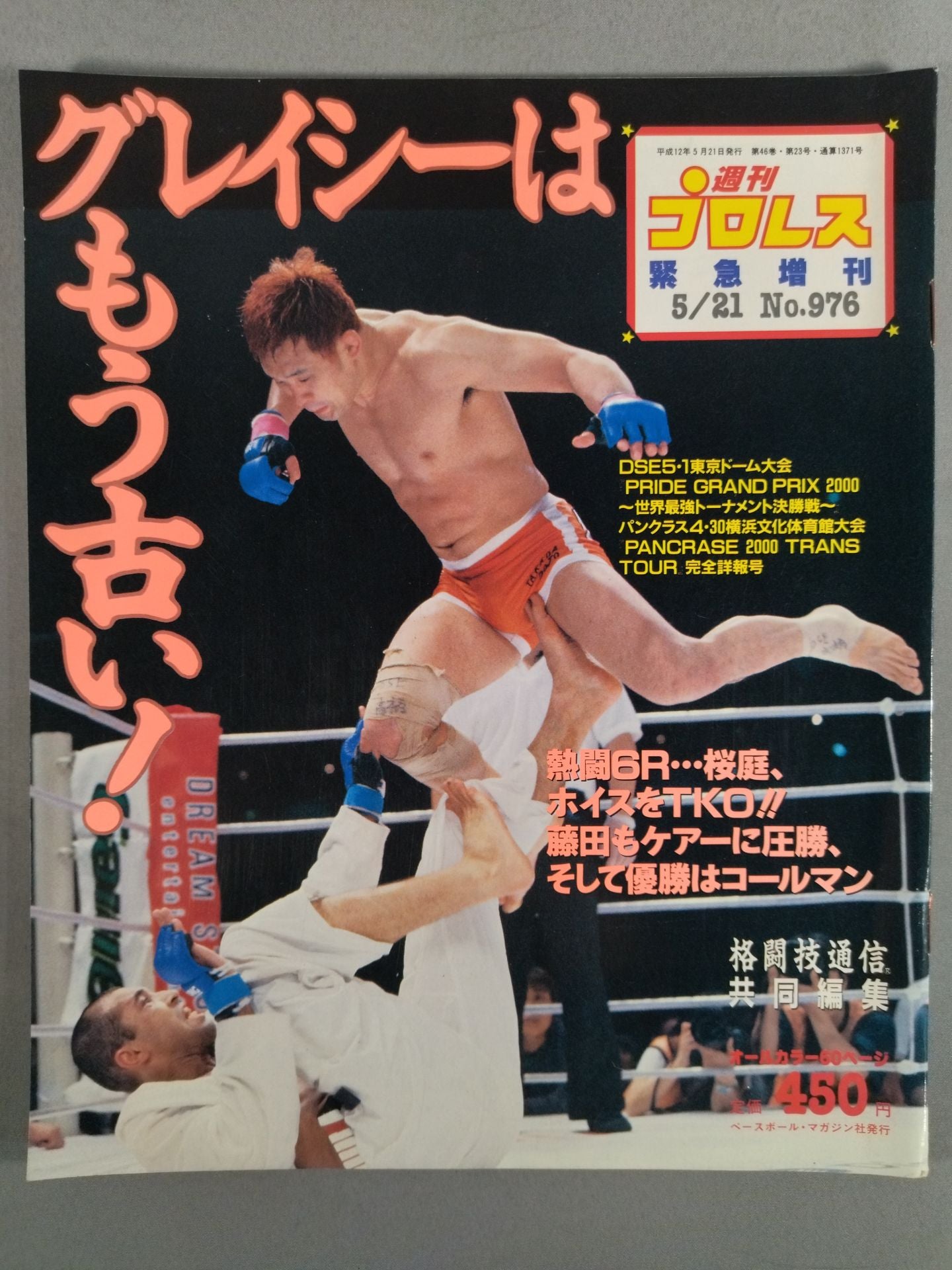 Weekly Pro Wrestling 976
