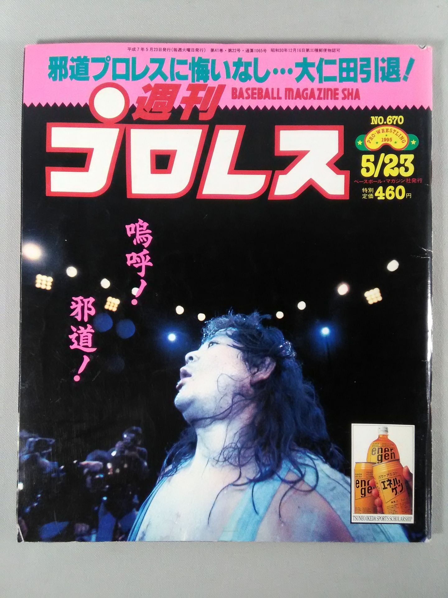 Weekly Pro Wrestling  670