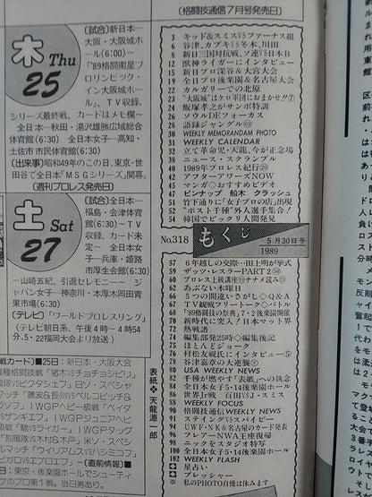 週刊プロレス318