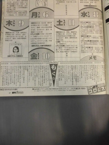 Weekly Pro Wrestling 589