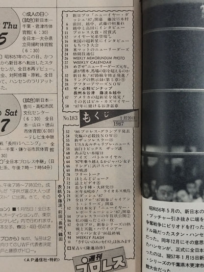 週刊プロレス183