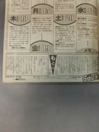 週刊プロレス541