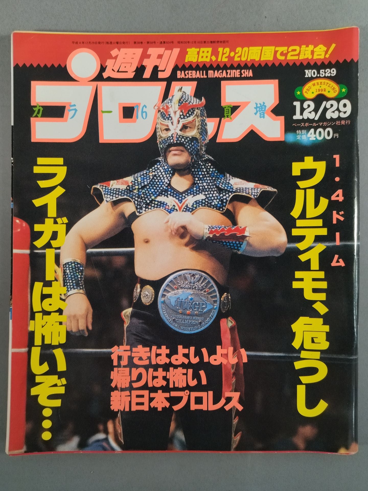 Weekly Pro Wrestling 529