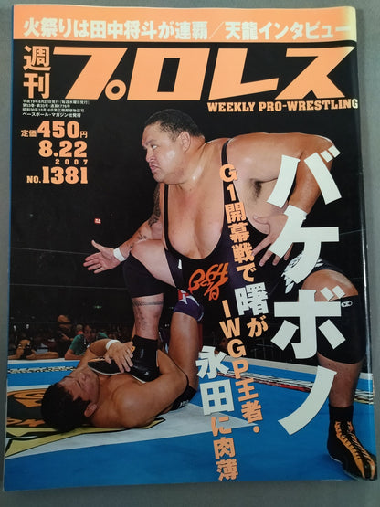 Weekly Pro Wrestling 1381