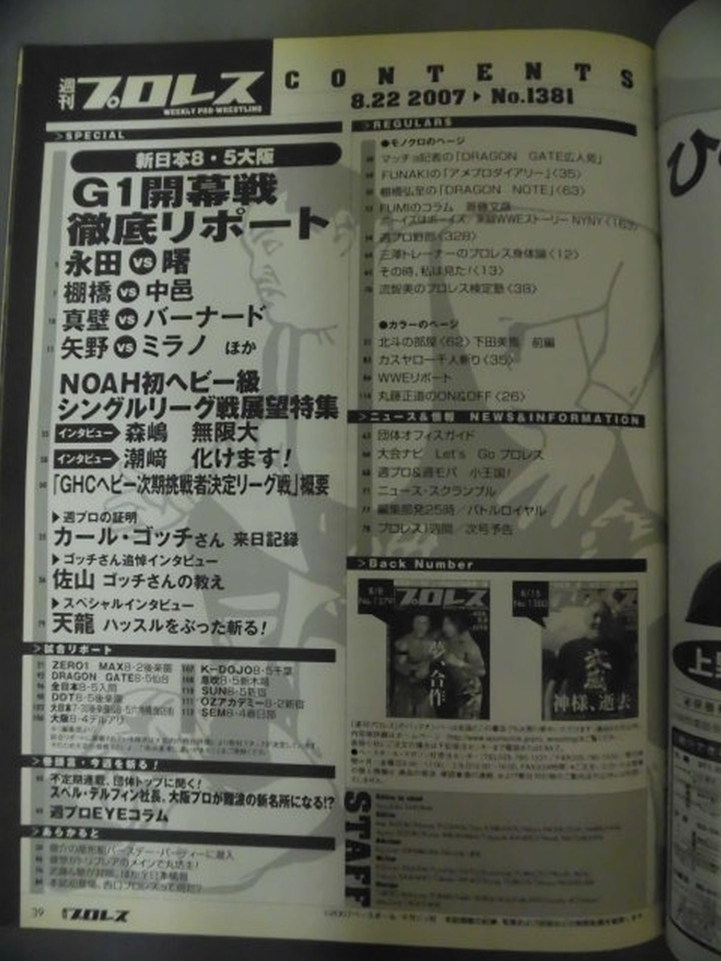 Weekly Pro Wrestling 1381
