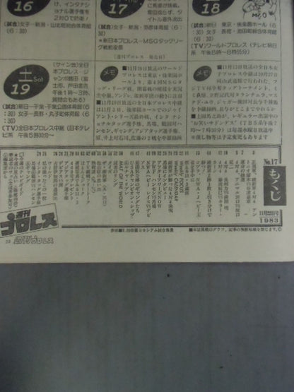 週刊プロレス17