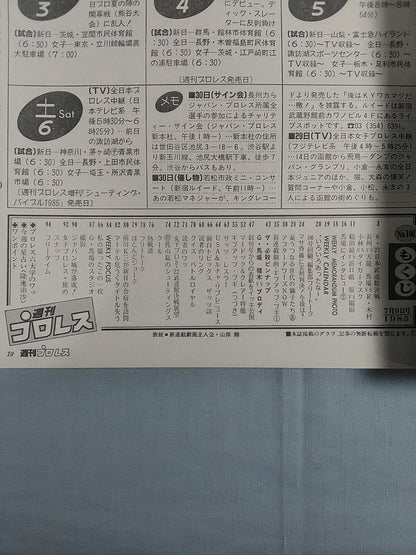 週刊プロレス100