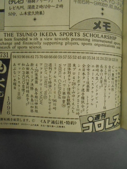 Weekly Pro Wrestling 731