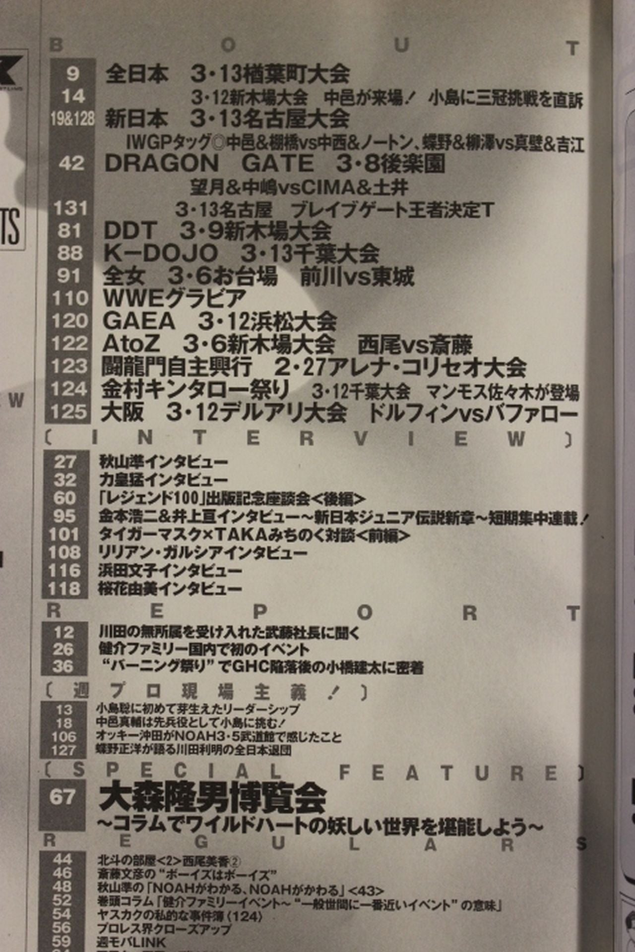 Weekly Pro Wrestling 1251