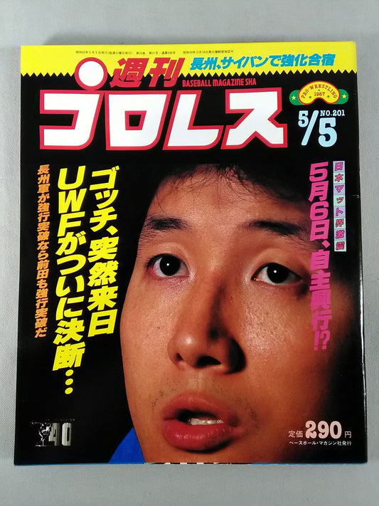 Weekly Pro Wrestling 201