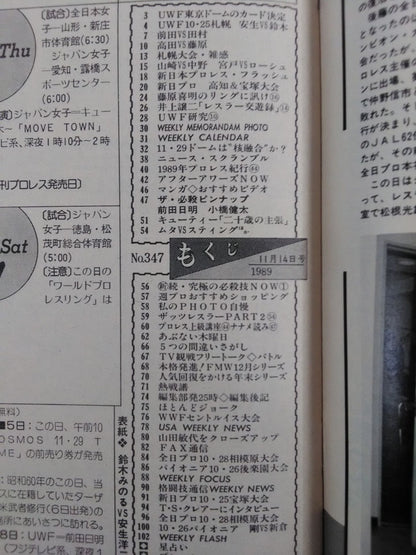 Weekly Pro Wrestling 347