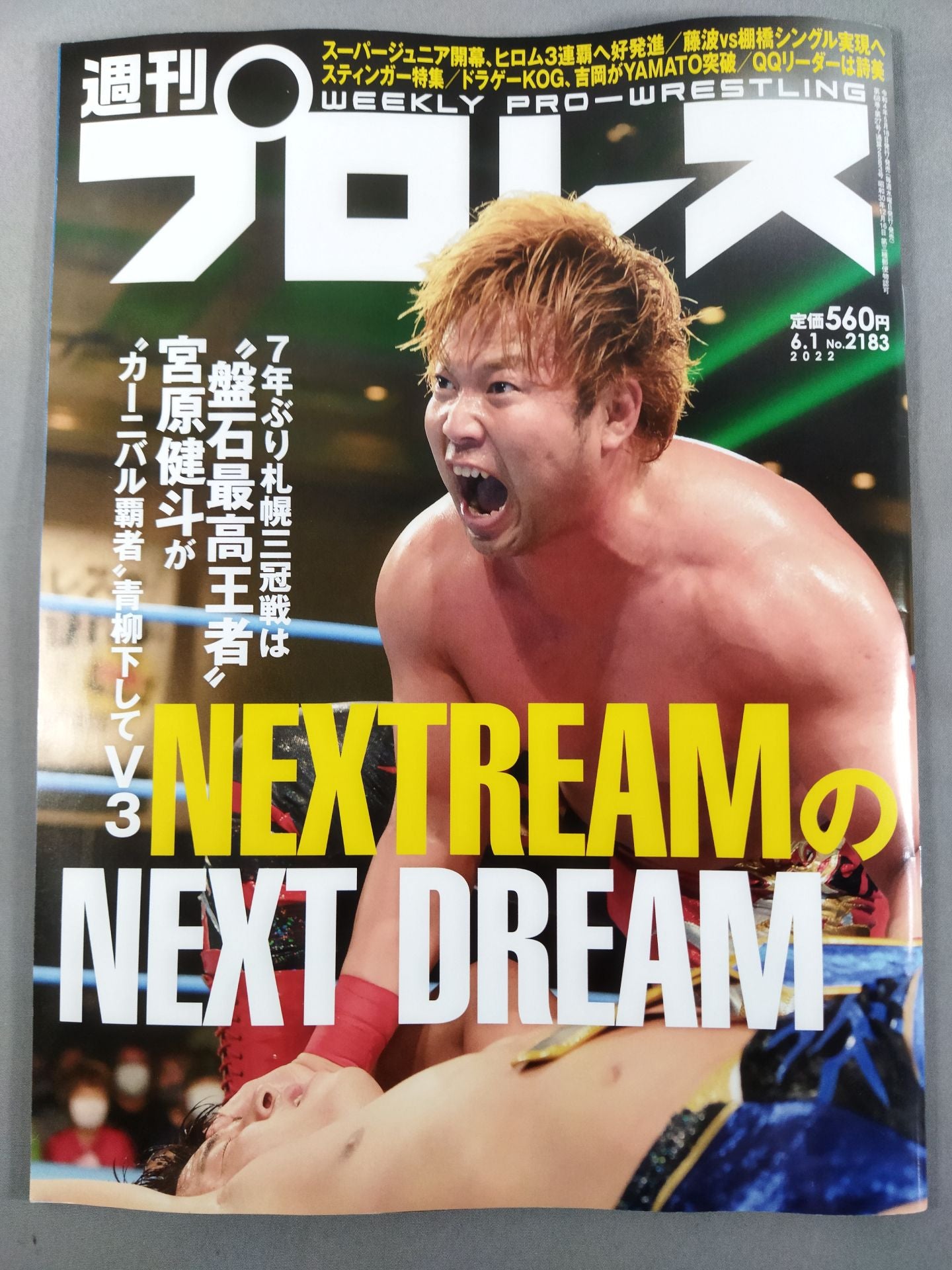 Weekly Pro Wrestling 2183