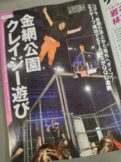 Weekly Pro Wrestling 2190