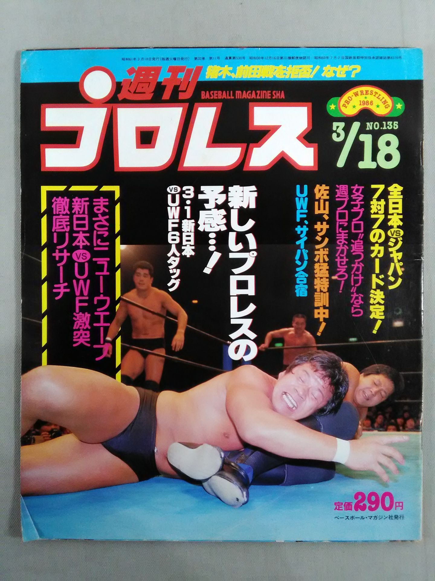 Weekly Pro Wrestling  135
