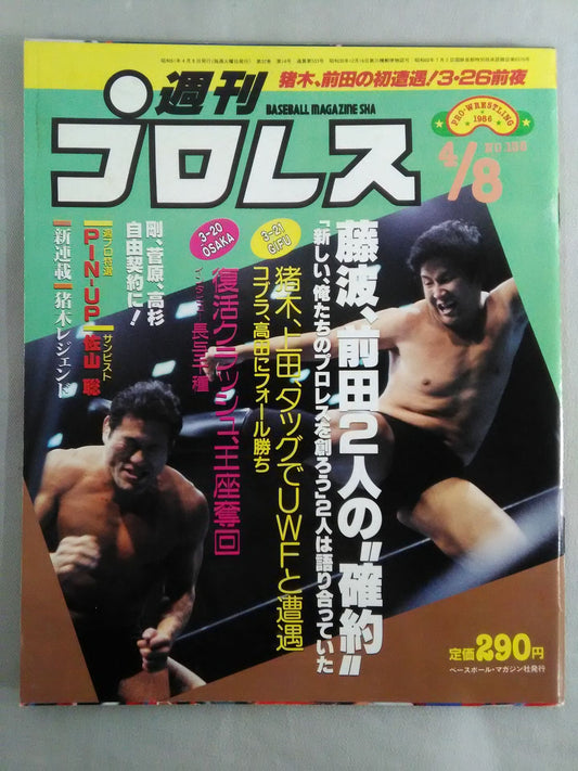 Weekly Pro Wrestling 138