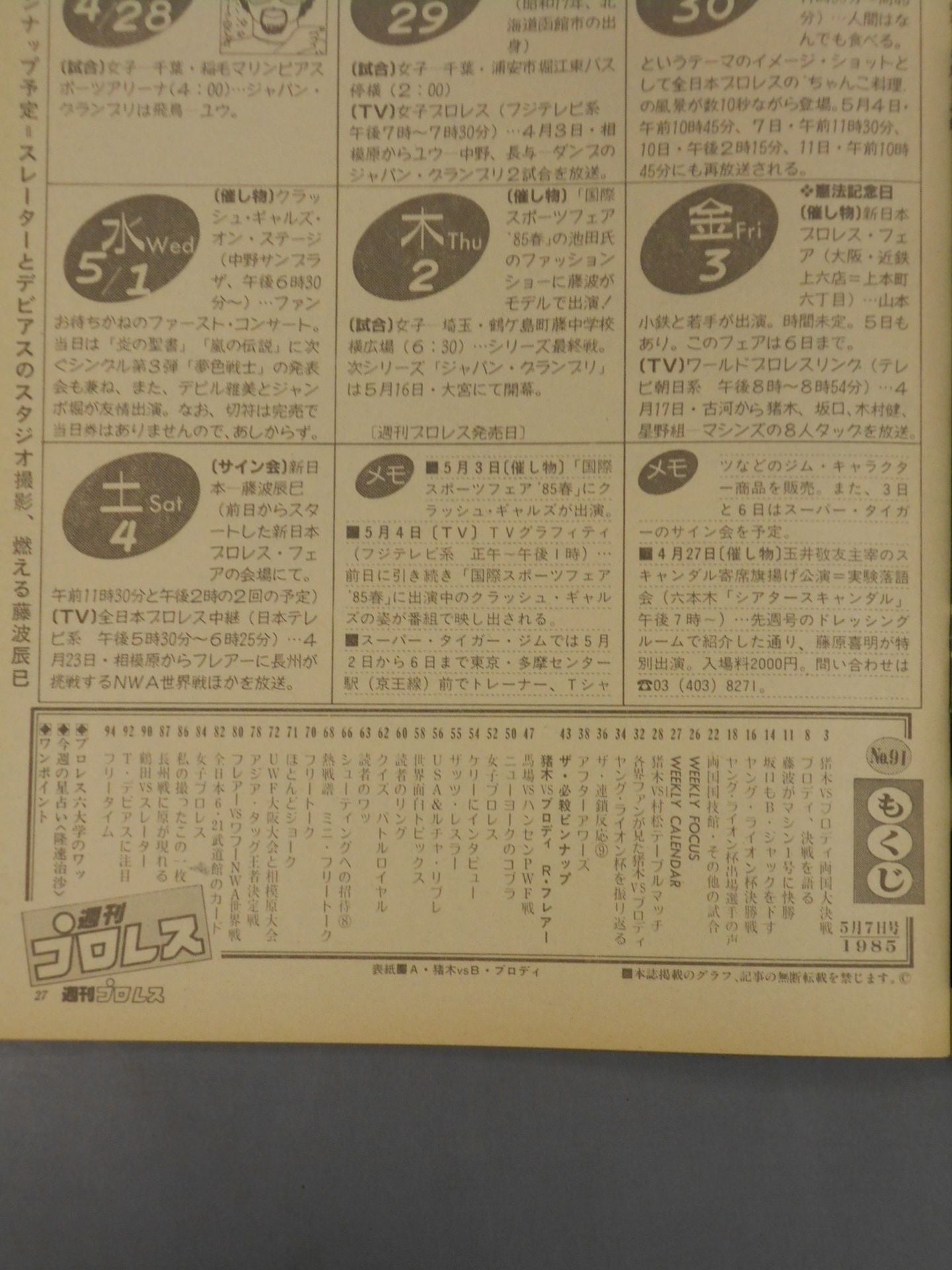 Weekly Pro Wrestling 91