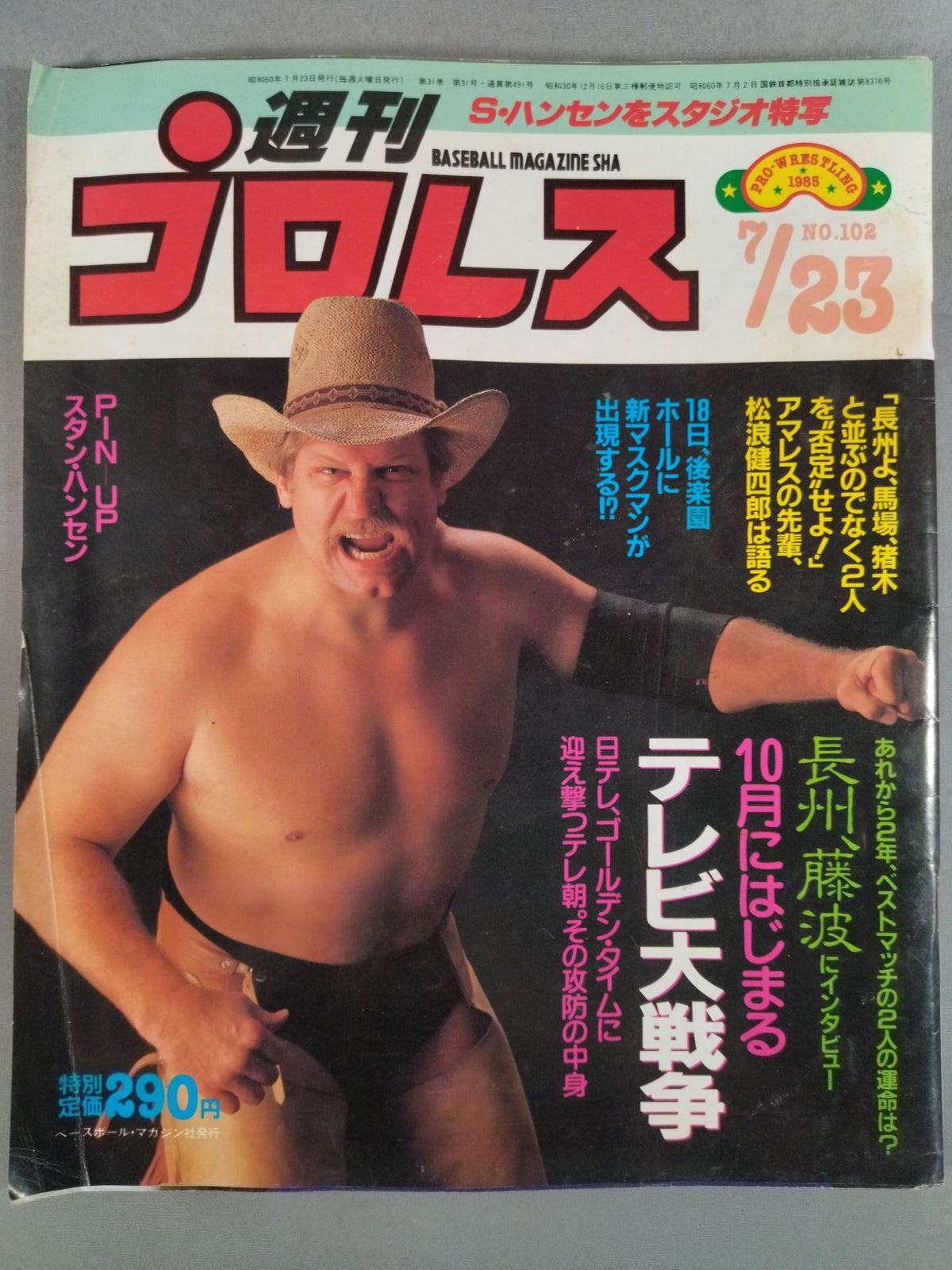 Weekly Pro Wrestling 102