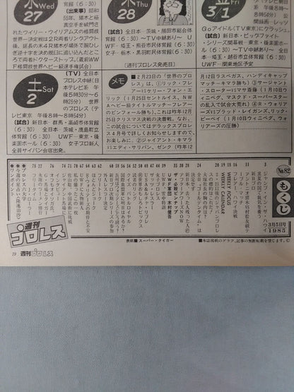 Weekly Pro Wrestling 82