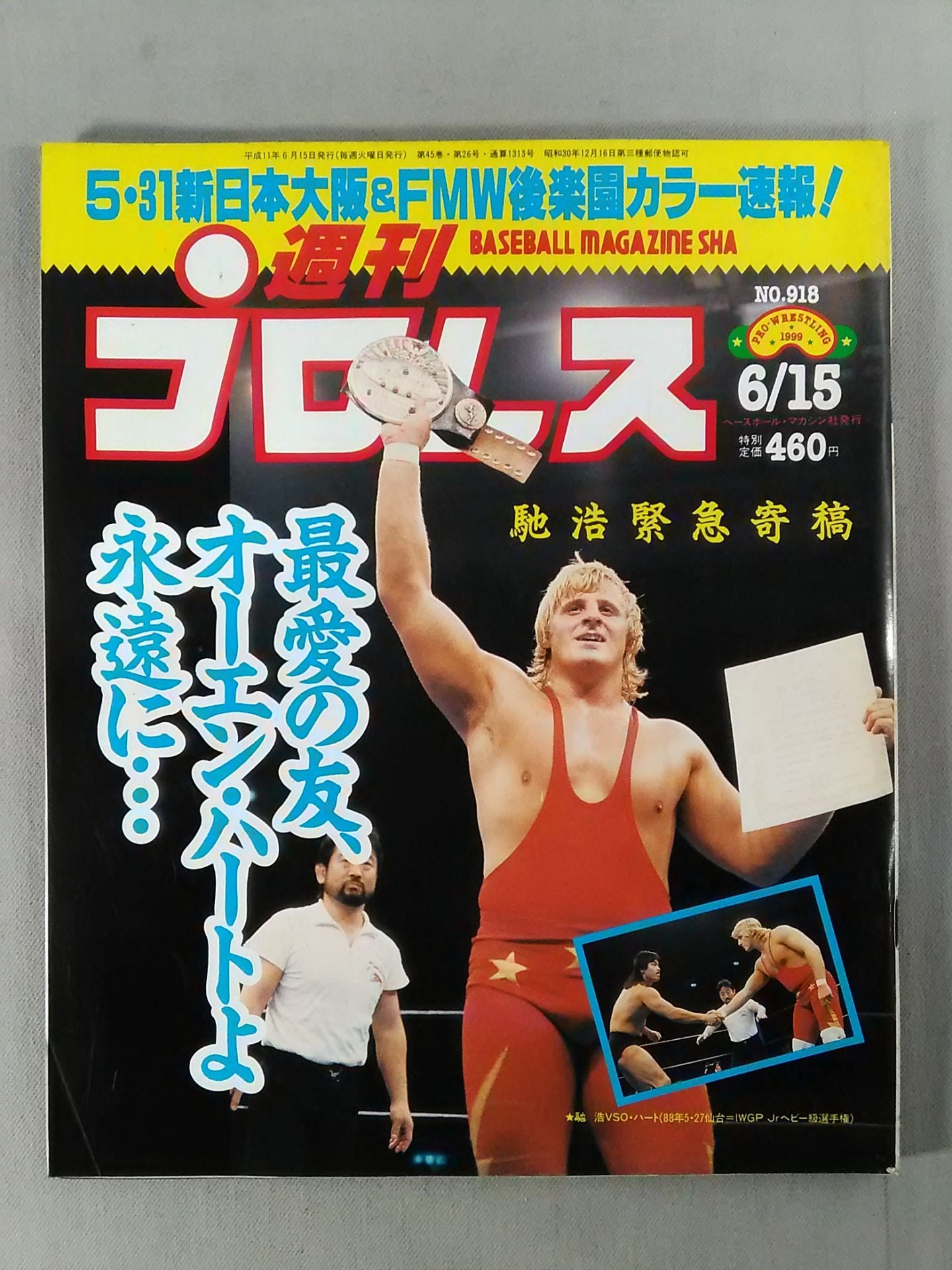 Weekly Pro Wrestling 918